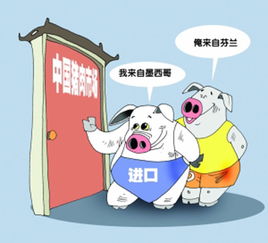 豬肉進(jìn)口量創(chuàng)新高，價(jià)格優(yōu)勢(shì)推動(dòng)網(wǎng)上貿(mào)易代理興起