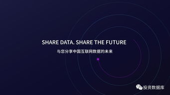國雙數(shù)據(jù)中心2017年互聯(lián)網(wǎng)發(fā)展報告 互聯(lián)網(wǎng)數(shù)據(jù)服務洞察